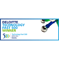 Deloitte Fast 500